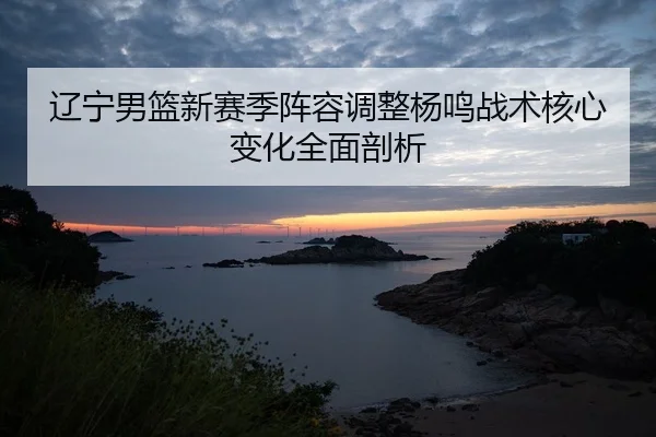 liao-ning-nan-lan-xin-sai-ji-zhen-rong-tiao-zheng-yang-ming-zhan-shu-he-xin-bian-hua-quan-mian-pou-xi-2-539.jpg