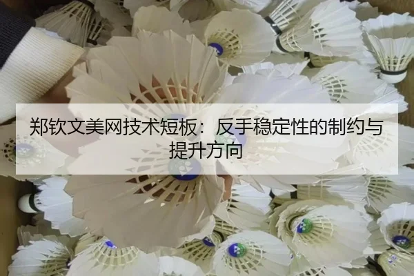 zheng-qin-wen-mei-wang-ji-shu-duan-ban-fan-shou-wen-ding-xing-de-zhi-yue-yu-ti-sheng-fang-xiang-3-659.jpg